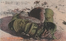 Schulte, Serie 2