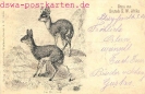 NR. 24 DER KLIPPBOCK