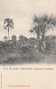 NR 204 LANDSCHAFT IN OMBANDYA