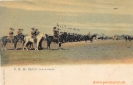 NR 10 SCHUTZTRUPPE