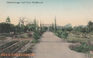   NR  55 GARTENANLAGE AUF DER FARM RIETFONTEIN