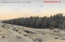 NR. 92 FORSTGARTEN DER OTAVI-MINE BEI TSUMEB