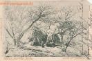NR 18 HÜTTEN DER BUSCHLEUTE