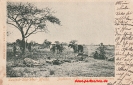 NR. 27 JAGDBEUTE IN DER GEGEND VON RIEDFONTEIN