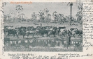   NR  5020 WASSERSTELLE OVAMBULUA