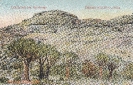   NR  6020 LANDSCHAFT BEI SPITZKOPJE