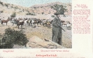 NR. 6040 AUF POSTEN