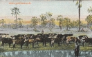 NR 6076 WASSERSTELLE OVAMBOLAND