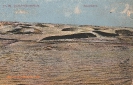 BILD 131 WANDERDÜNEN