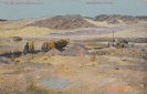 BILD 135 DIAMANTENFELDER-POMONA