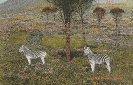 BILD 18 ZEBRAS