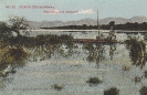   BILD 32 STAUDAMM FARM HOFFNUNG
