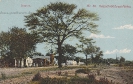 BILD 50 OMARURU