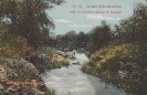   BILD 53 RIVIER IM HEREROLAND WÄHREND DER REGENZEIT