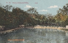 BILD 58 OTAVI