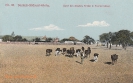BILD 90 UNTER DEN AKAZIEN STRASSE IN KEETMANSHOOP