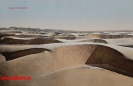 NR. 20 LÜDERITZBUCHT (SANDDÜNEN)