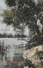 NR 4 AM FISCHFLUSS