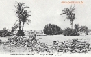 NR 40 MISSIONS GARTEN-WARMBAD