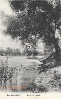 NR 56 AM FISCHFLUSS