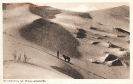 NR 35 SANDDÜNEN BEI ELISABETHBUCHT