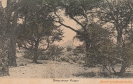 NR 2 OMARURUER KUPPE