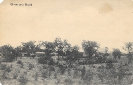 NR 8 OMARURU NORD