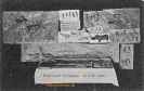 NR 32 BUSCHMANNS ZEICHNUNGEN