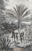 NR 33 IM GOUVERNEMENTSGARTEN WINDHOEK