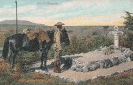 NR 19 AM HELDENGRAB