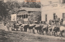 NR 664 BIERBRAUEREI FR SCHMIDT