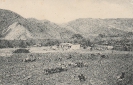   NR  134529 KANIKONTES  FARM IM SWAKOP