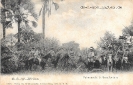 NR. 98944 PALMENWALD BEI GROOTFONTEIN