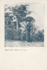 Verlag Wilhelm Köhler, Minden