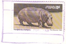 Holoog