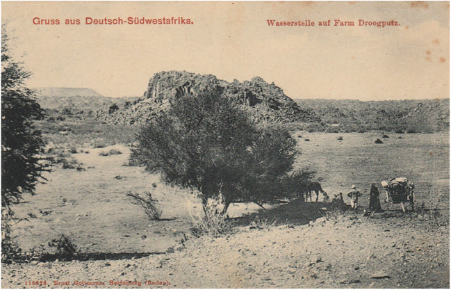 Bildseite