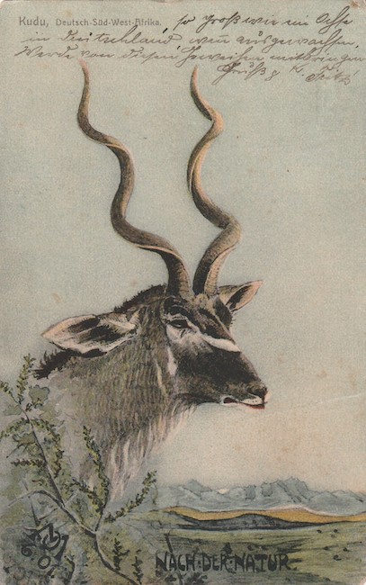 Bildseite